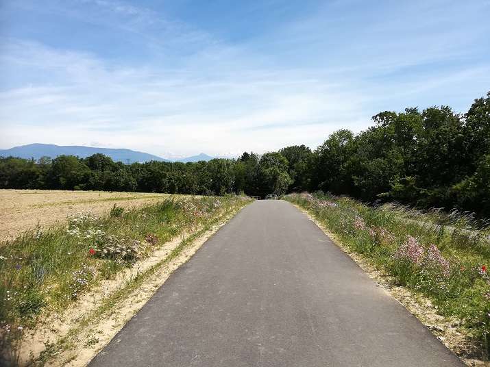   Projet d'aménagement de la voie verte entre la commune de Ferney-Voltaire au sud et la commune de Gex au nord