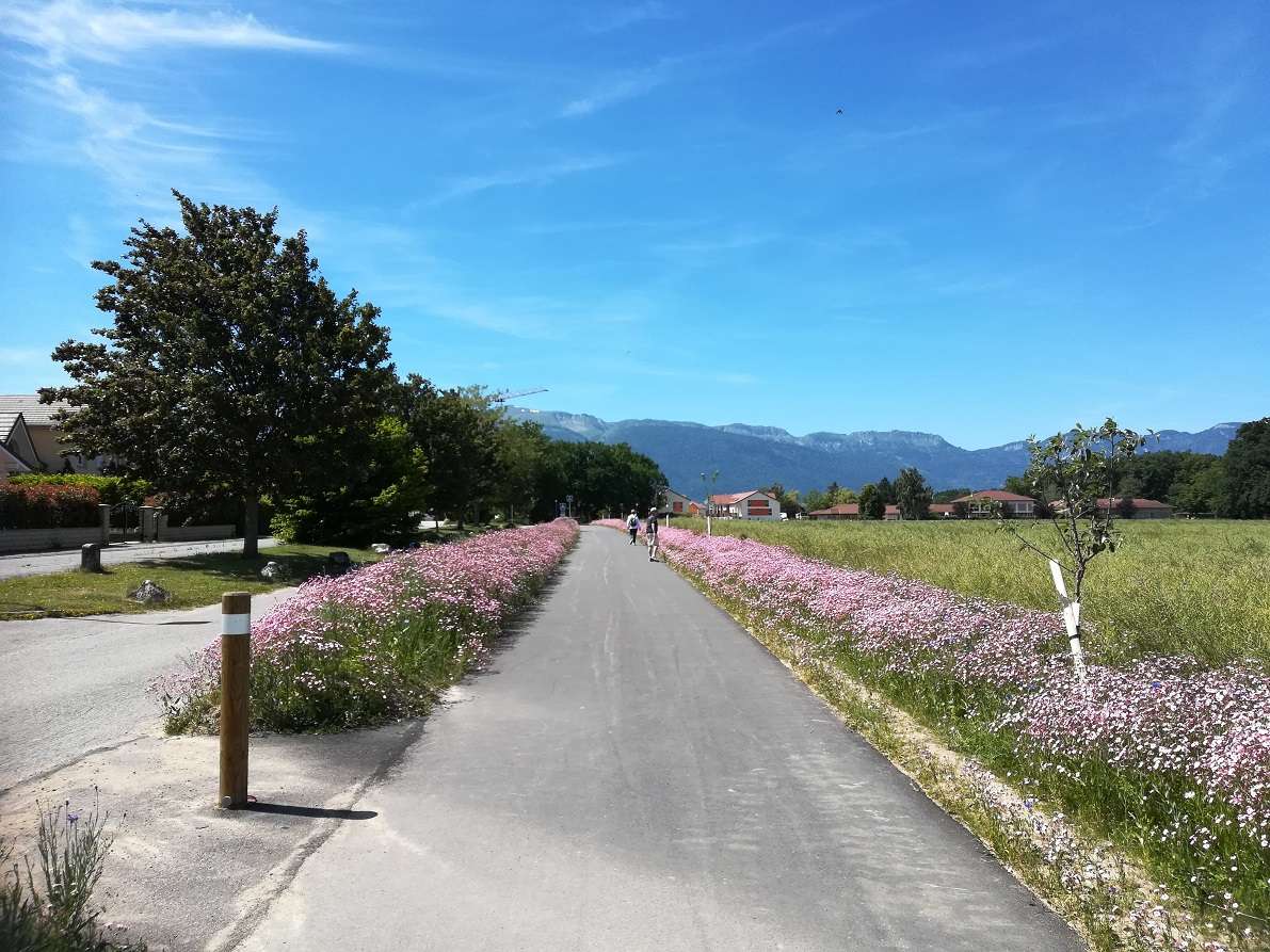   Projet d'aménagement de la voie verte entre la commune de Ferney-Voltaire au sud et la commune de Gex au nord