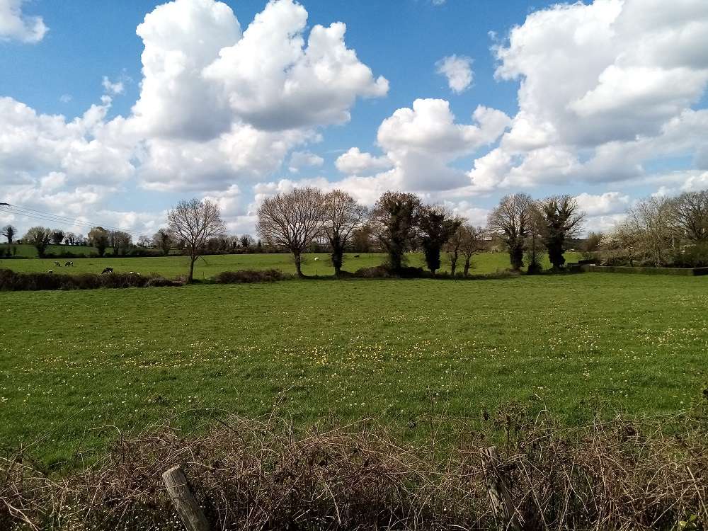   aménagement foncier ernee, MONTENAY, ST PIERRE DES LANDES 53