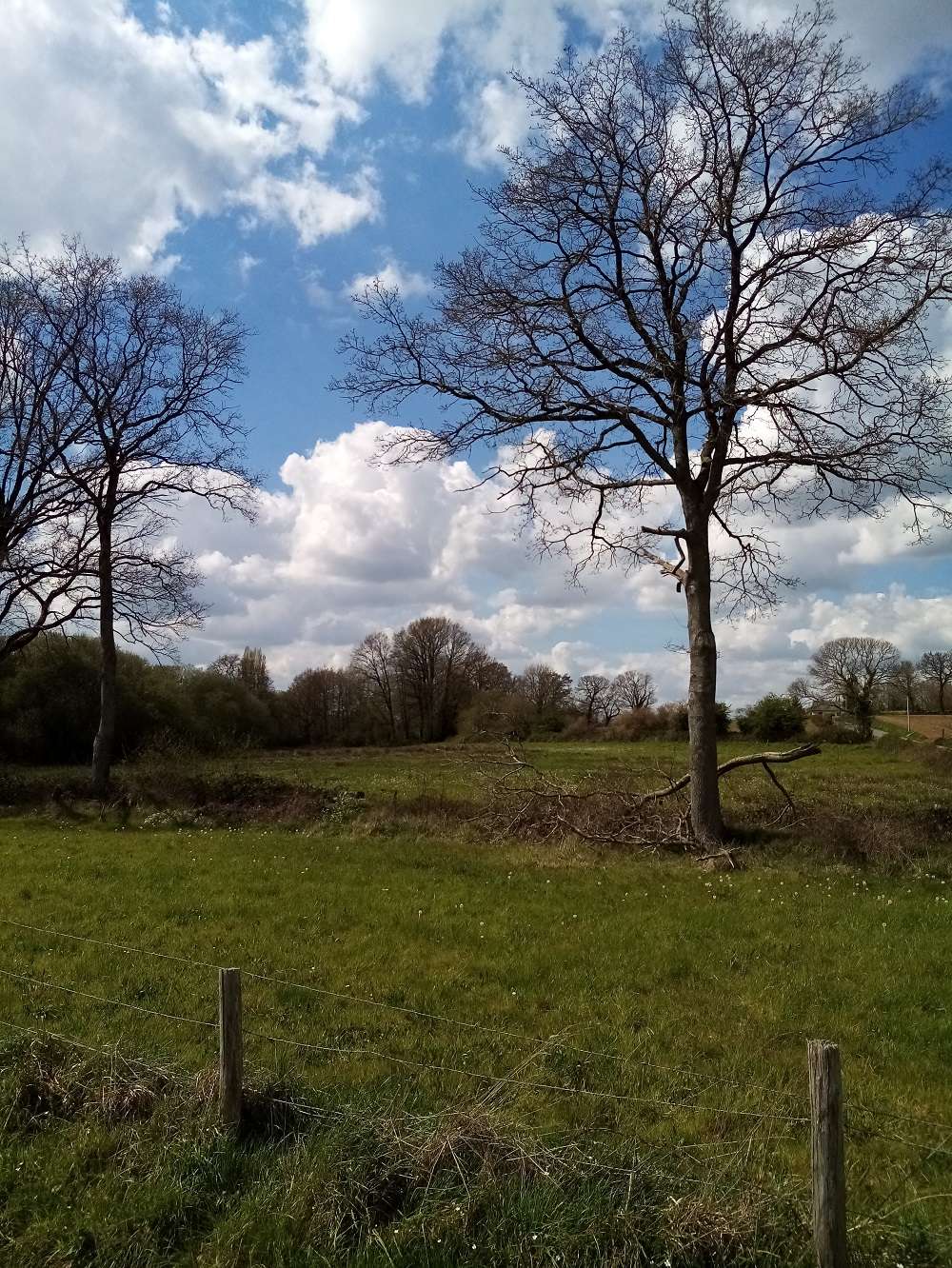   aménagement foncier ernee, MONTENAY, ST PIERRE DES LANDES 53