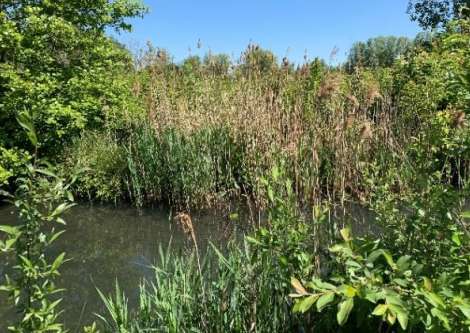   Déconnexion des eaux claires parasites du réseau d'assainissement d'Armentières