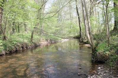   Déclaration d'Intérêt Général pour la mise en œuvre du plan de gestion de la Ripisylve et du plan de gestion morphologique des milieux aquatiques, du 