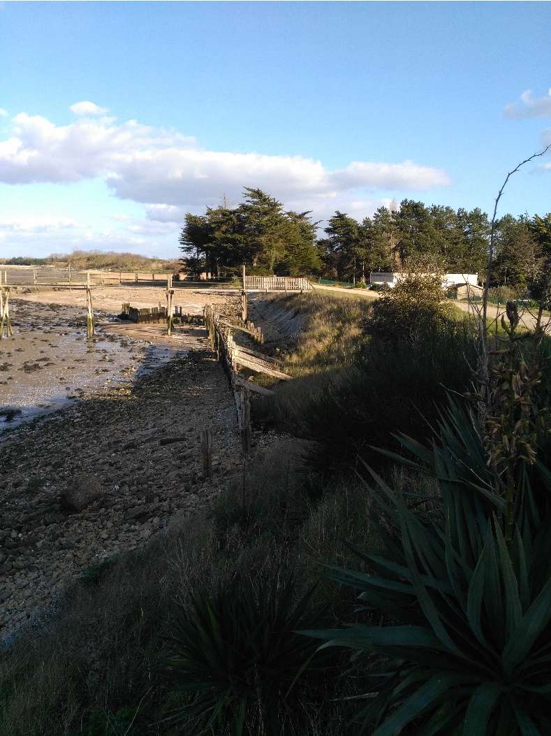   TRAVAUX DE RESTAURATION DE LA DIGUE DE MINDIN A SAINT-BREVIN-LES-PINS PAR LA COMMUNAUTÉ DE COMMUNES SUD ESTUAIRE