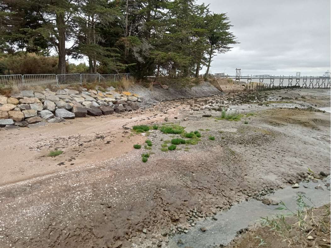   TRAVAUX DE RESTAURATION DE LA DIGUE DE MINDIN A SAINT-BREVIN-LES-PINS PAR LA COMMUNAUTÉ DE COMMUNES SUD ESTUAIRE