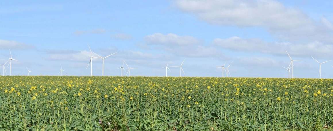   Ferme éolienne des Genets 