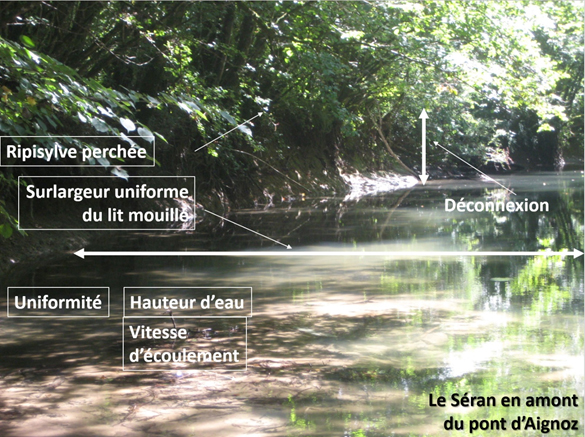   Réhabilitation environnementale et hydraulique du Séran et des Rousses, au droit de la réserve naturelle du marais de Lavours