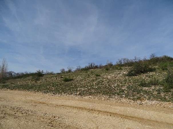   mise en compatibilité du PLUi des Terres d’Aurignac et du SCOT du pays Comminges Pyrénées en vue de l’extension de la carrière à Alan