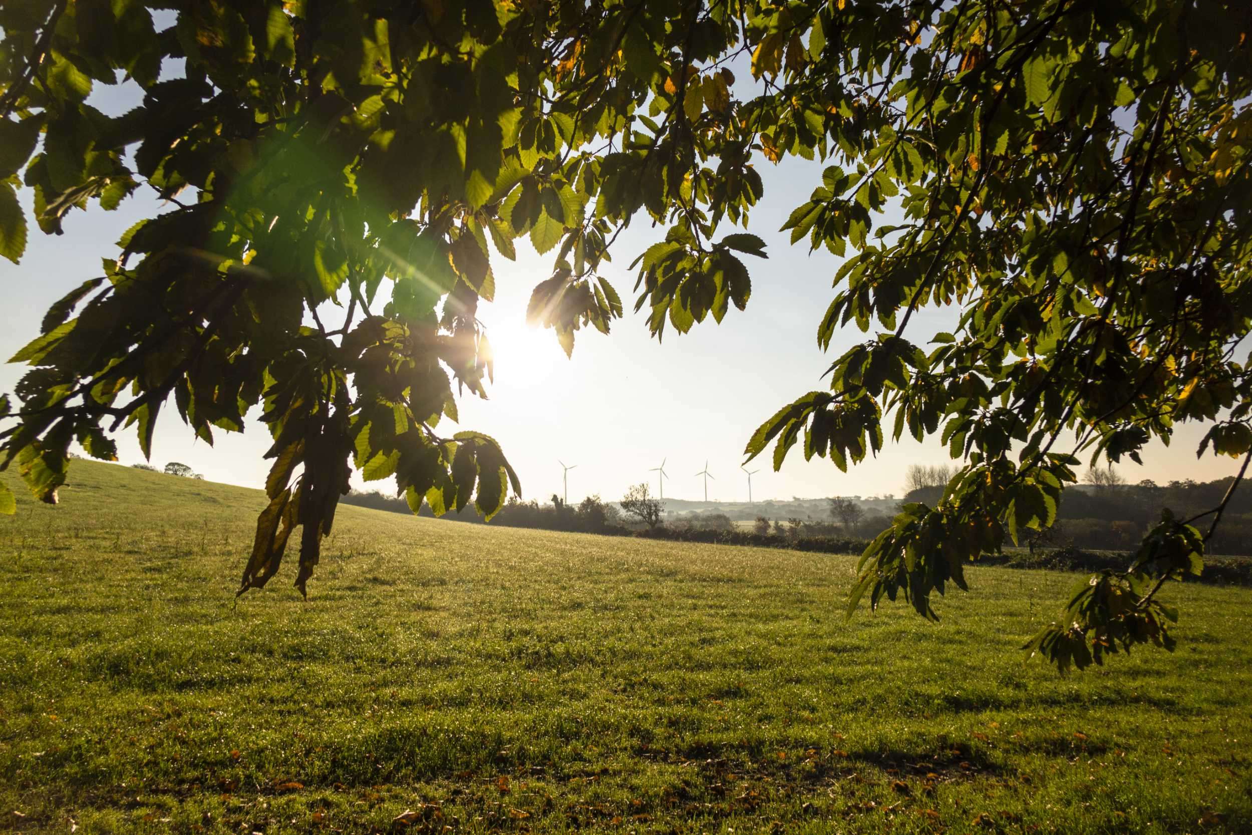   PARC ÉOLIEN DE BELLEVUE - SILFIAC