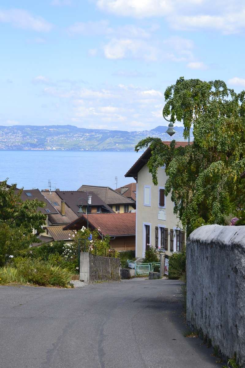   révision n°5 du PLU de la Commune de Neuvecelle