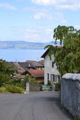 Révision n°5 du PLU de la Commune de Neuvecelle
