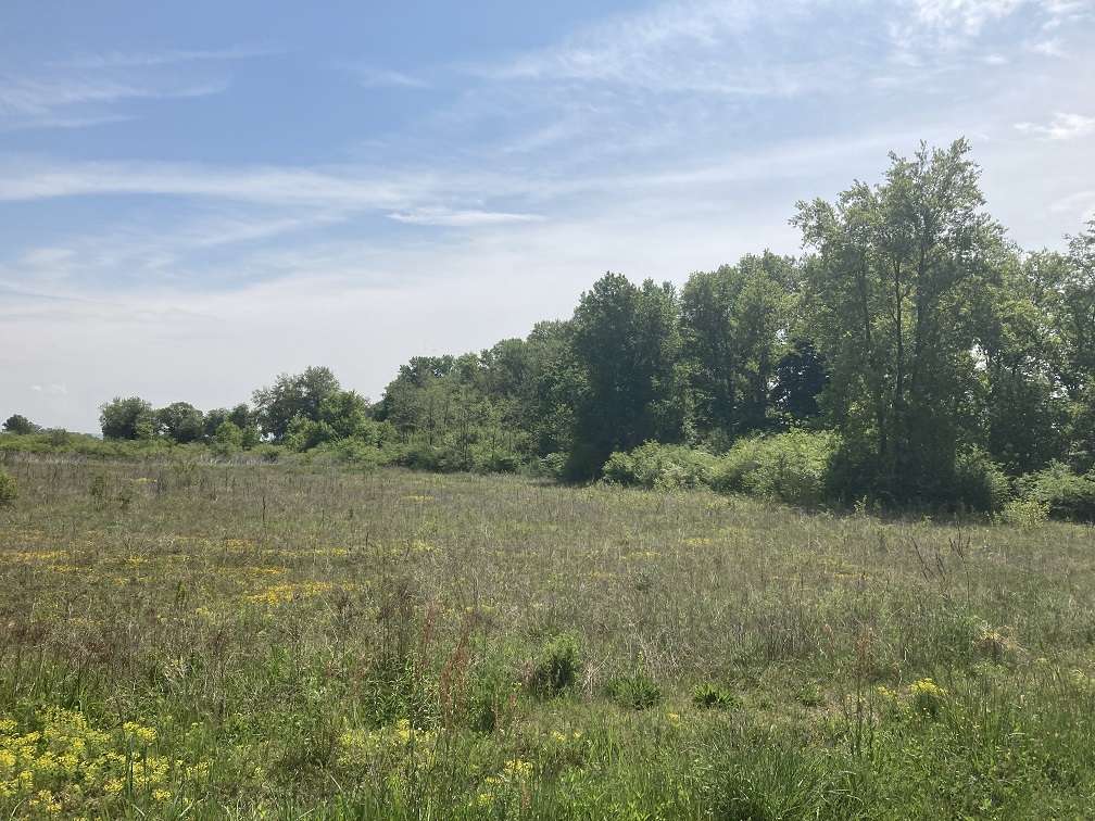   Projet de parc photovoltaïque sur la commune de Balan