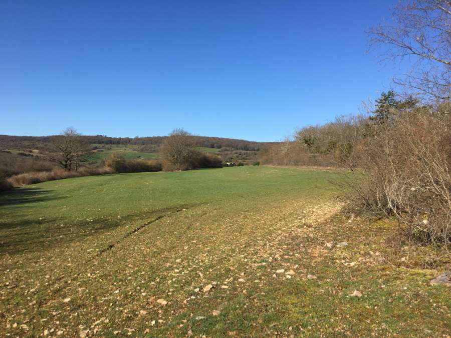   Projet de parc photovoltaïque sur la commune de Colombier