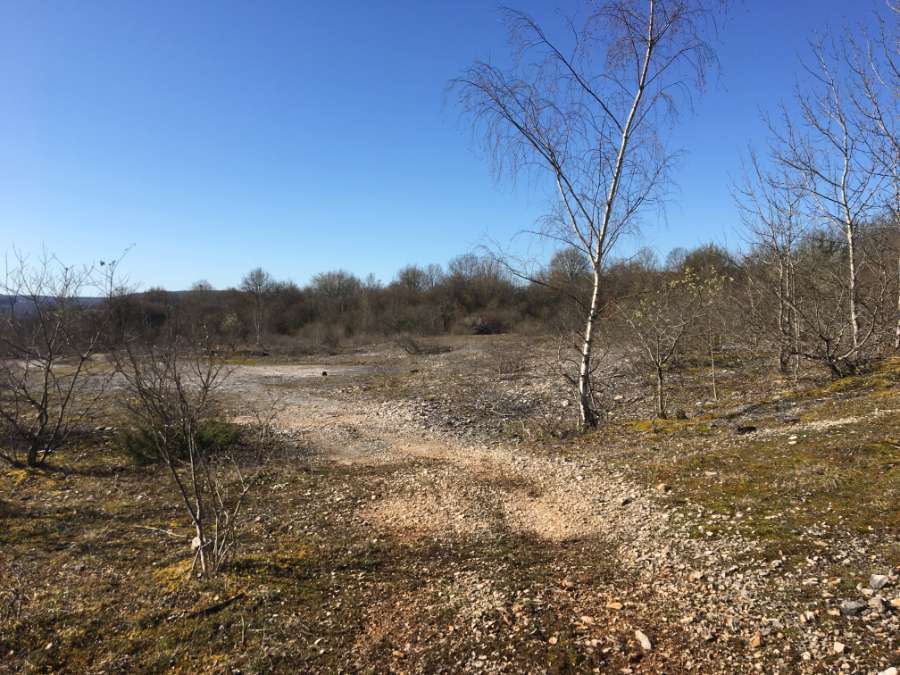   Projet de parc photovoltaïque sur la commune de Colombier