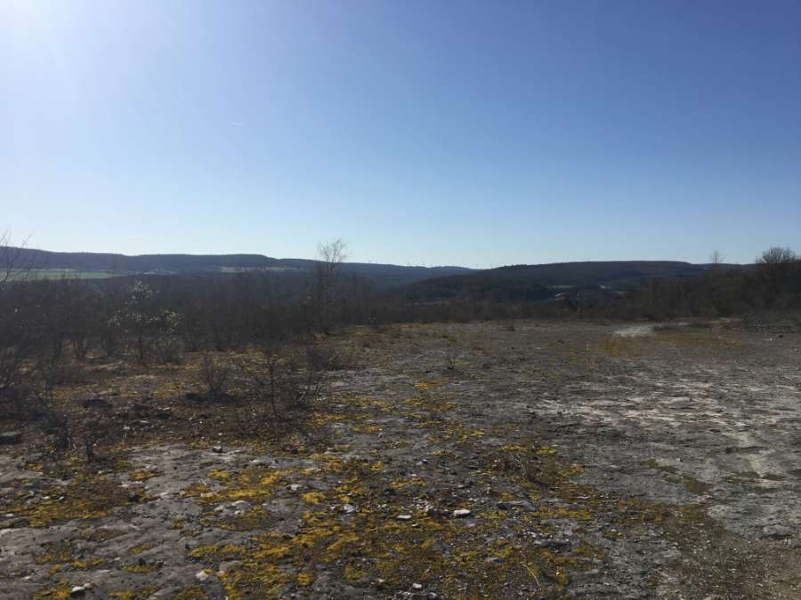   Projet de parc photovoltaïque sur la commune de Colombier