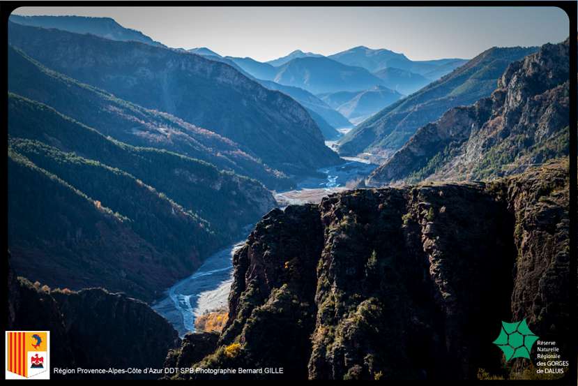   REGION PROVENCE-ALPES-CÔTE D'AZUR - PROJET DE PERIMETRE DE PROTECTION AUTOUR DE LA RESERVE NATURELLE REGIONALE DES GORGES DE DALUIS 