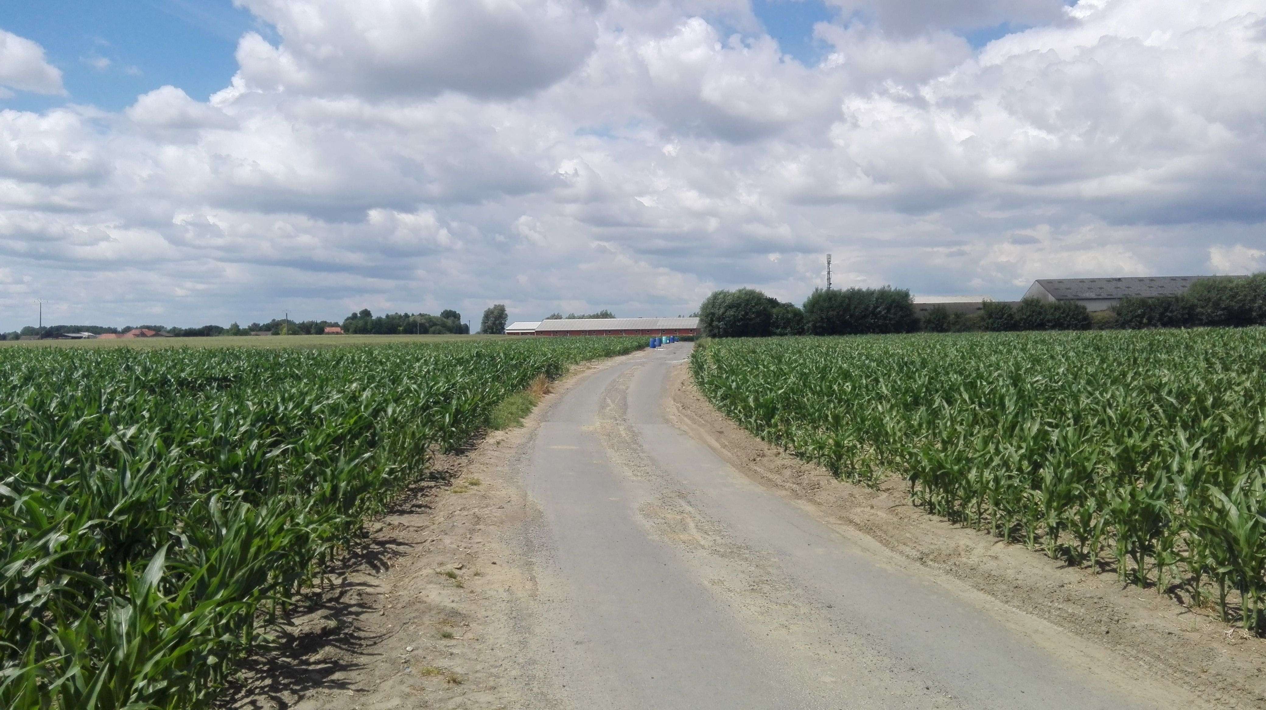   SARL DE LA FERME DU MAZE