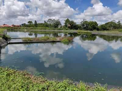   Enquête publique du schéma Directeur d’Assainissement des eaux usées et des eaux pluviales sur la commune de Mana