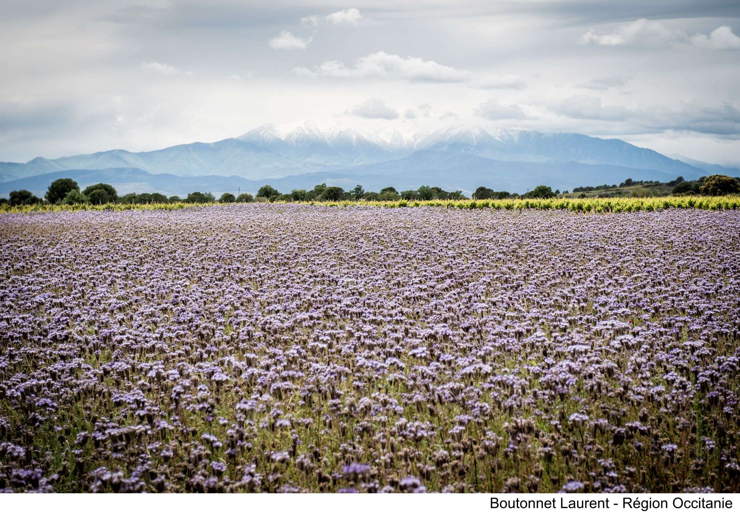   Projet de schéma régional d'aménagement, de développement durable et d'égalité de territoires