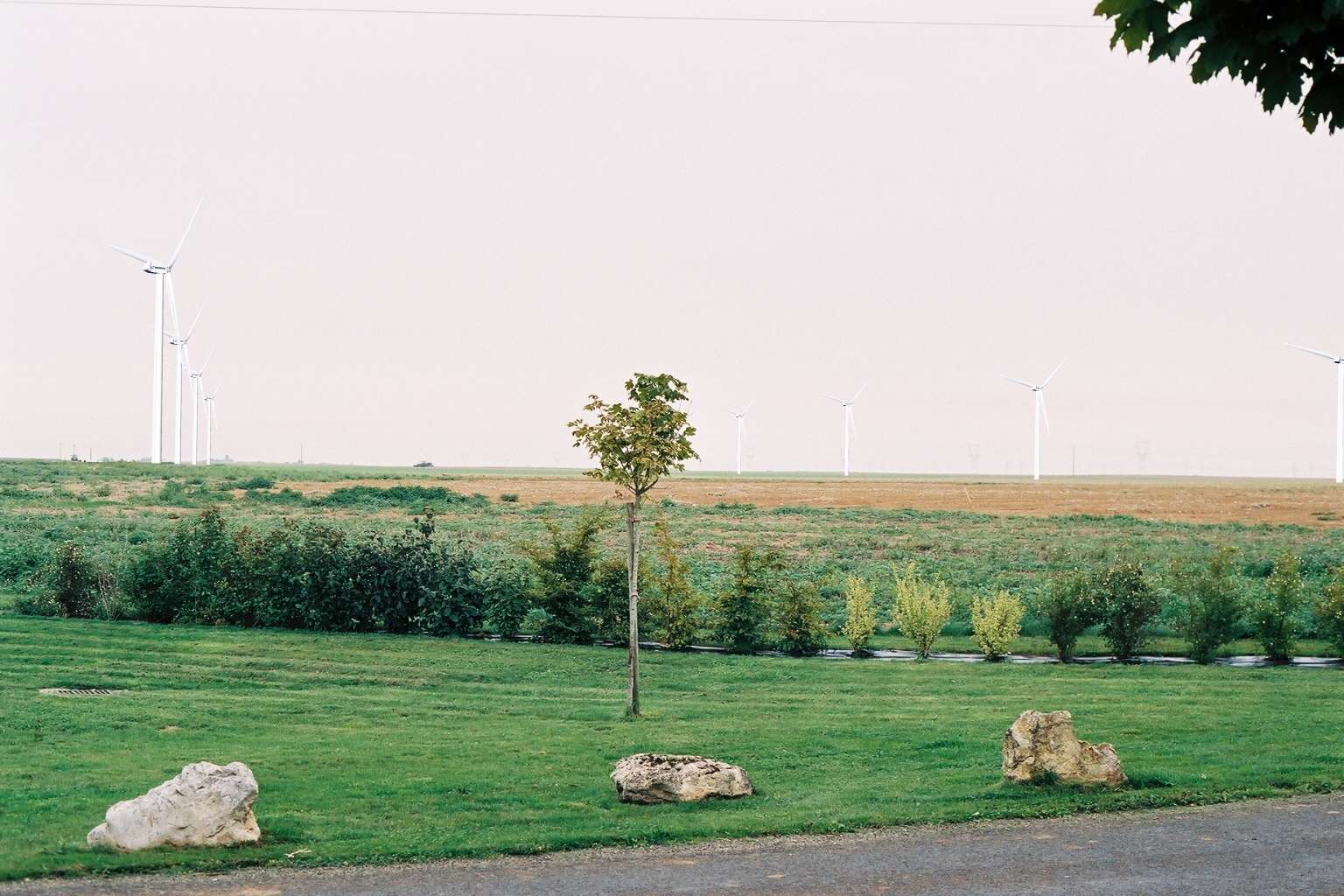   Demande d’autorisation environnementale concernant le projet de création du «parc éolien des Terres Rouges» - BORALEX