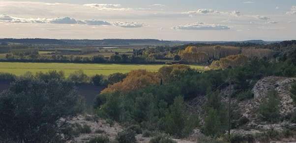   Projet de Zone Agricole Protégée sur la commune de Paradou